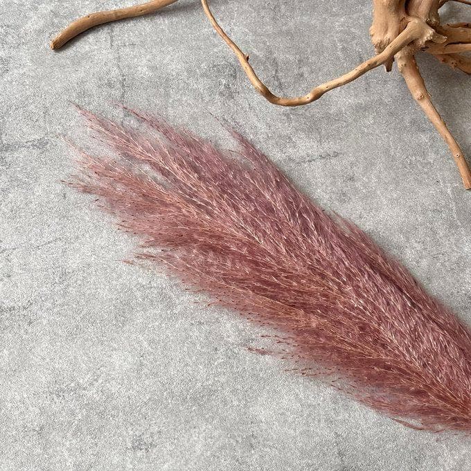 コーラルピンク＆バターミルクのアネモネスワッグ（ブーケ）Lふっくらタイプ　再販