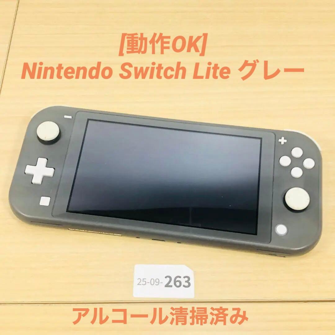 [動作OK] Nintendo Switch Lite グレー 本体 9-263
