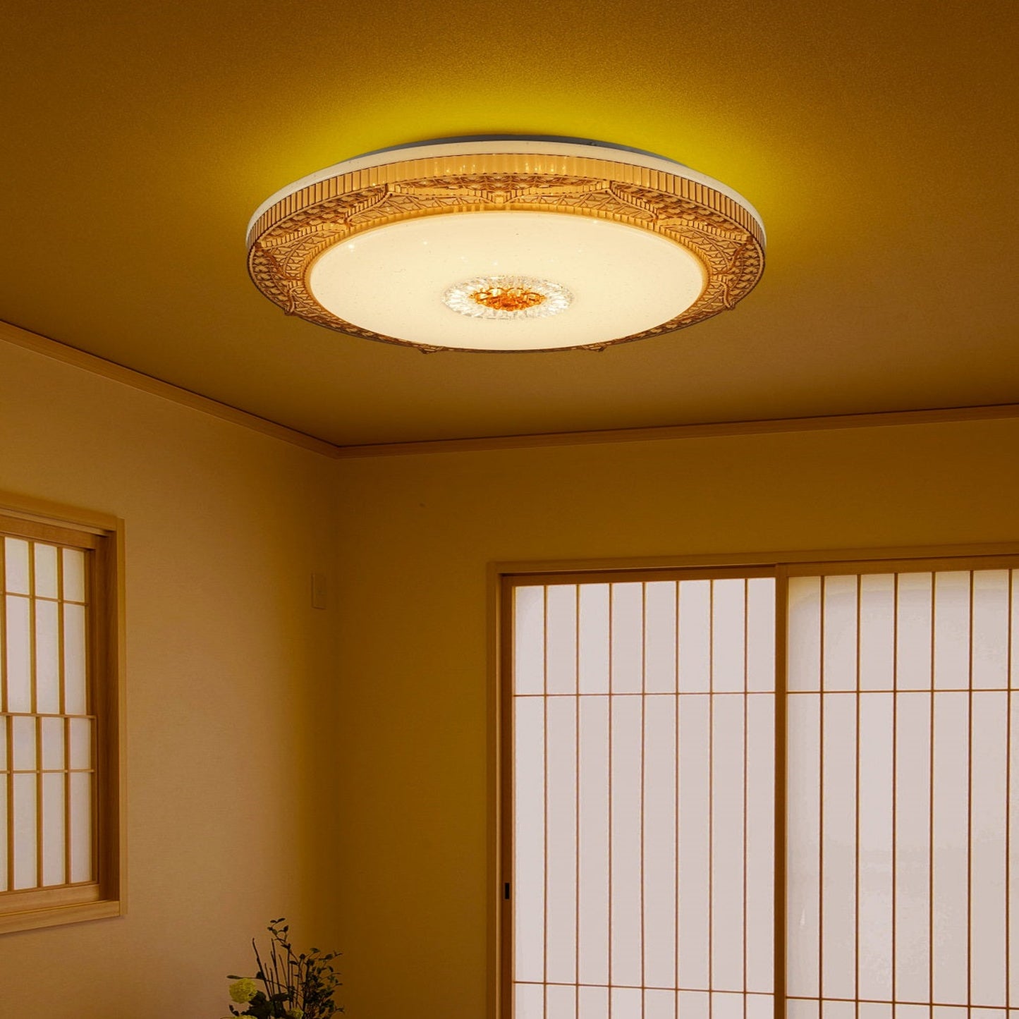 F9838 Ceiling Light